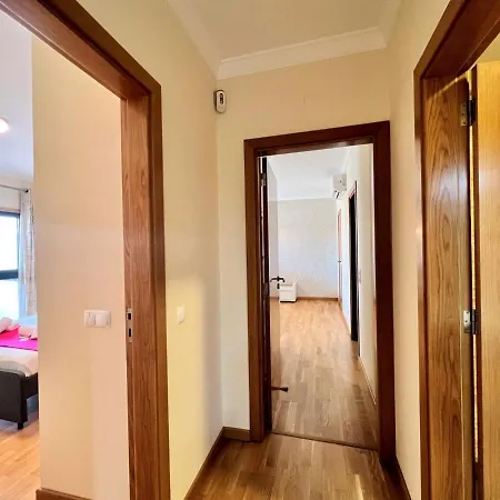 Stylish 2 By Homing Faro