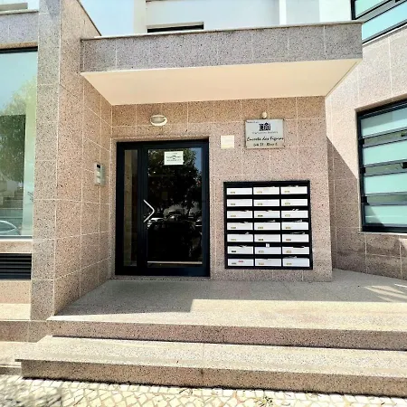 Stylish 2 By Homing * ファロ